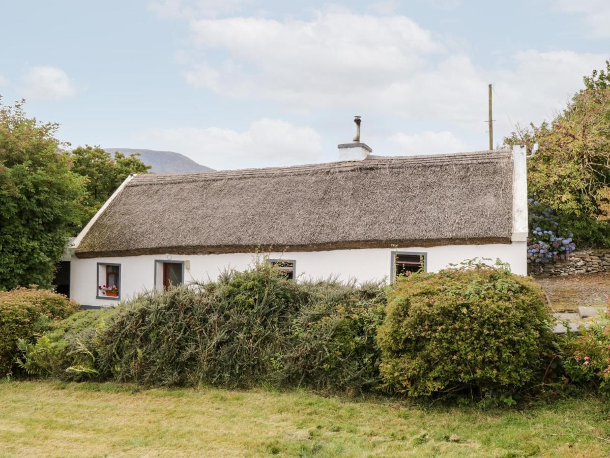 The Thatched Cottage Liscarney 외부 사진